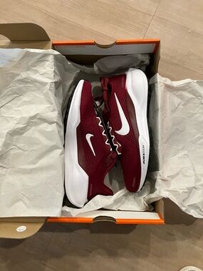 Nike Air Zoom Pegasus
